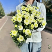 Ретро -упаковка 5 Кельн Парфюм Свежая цепь