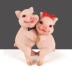 Cặp vợ chồng nhỏ trang trí quà cưới sáng tạo để gửi cho bạn gái quà tặng bạn gái cô gái trang trí lợn đặc biệt