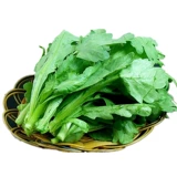 Император -император -император крупного листа