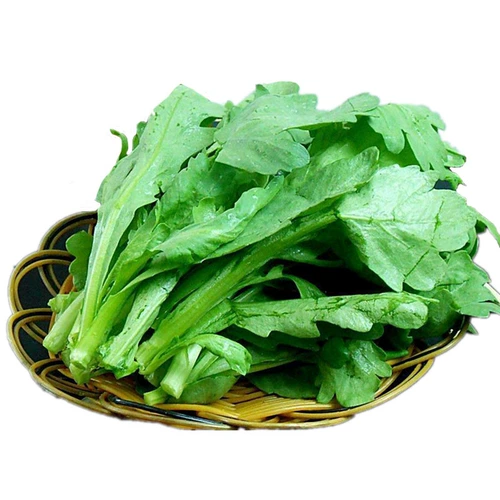 Император -император -император крупного листа