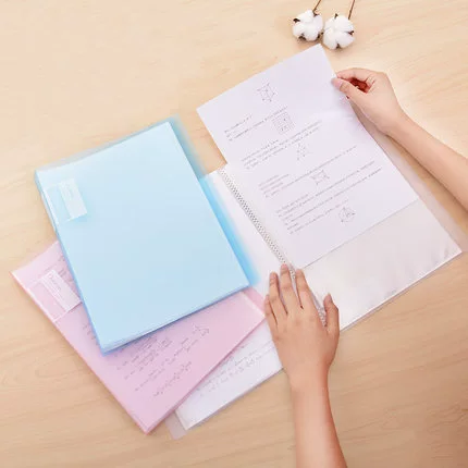 Бесплатная доставка для бесплатной доставки 72555 Полупрозрачная информационная книга Студенческая тестовая бумага для организации сумки PP Файл -плагин -IN Storage Sack