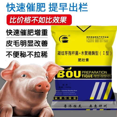 Жирная Zhuangxu Pig