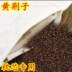 Chọn đặc biệt vàng Jingzi gối gối lõi cổ tử cung gối đặc biệt phụ vải sốc hạt giống 5 kg 10 kg số lượng lớn hoang dã