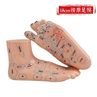 Левая и левая акупунты (отправьте карту пейзажа для ног)