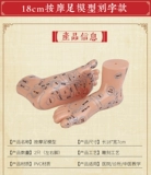 Акупунтная модель Meridian Meridian Model Foot, массаж купания, иглоукалывание, иглоукалывание модели стопы