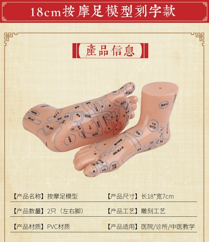 Акупунтная модель Meridian Meridian Model Foot, массаж купания, иглоукалывание, иглоукалывание модели стопы
