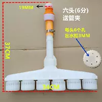 6 голов (6 баллов)