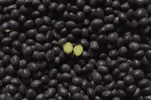 Green Core Black Bean 500G Farm Product