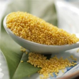 [农家自种优质黄小米500G 自产自销五谷杂粮 宝宝月子米 小黄米]