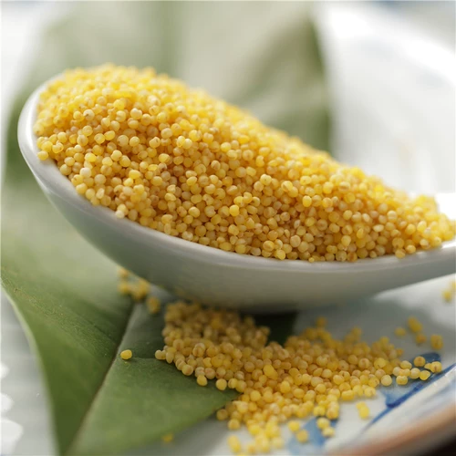 Самостоятельный фермерский высококачественный желтый xiaomi 500g Самостоятельно производимый зерновой
