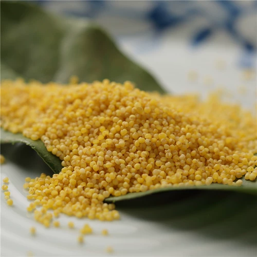 Самостоятельный фермерский высококачественный желтый xiaomi 500g Самостоятельно производимый зерновой