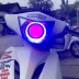 [Giá đặc biệt] Lắp ráp đèn pha thế hệ WISP Xe máy RSZ Hella Q5 ống kính kép sửa đổi đèn Xenon - Đèn HID xe máy Đèn HID xe máy