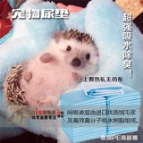 Бесплатная доставка мини -хеджог дезодоризованная моча таблет