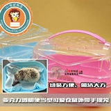Mini Hedgehog принимает волосатую мышь, золотую, карку, короли и белки, медовые мешки, спящую мышь, голландскую свинью, клетку для коробки