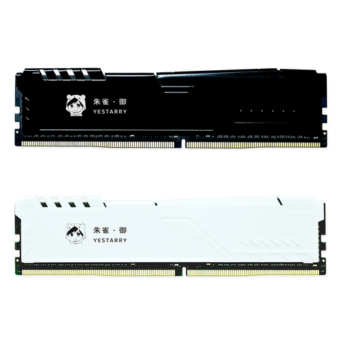 Technology Technology DDR4 Host 32008G память