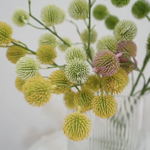 Простая природа симуляция растения одиночной ветви сосновой шарики