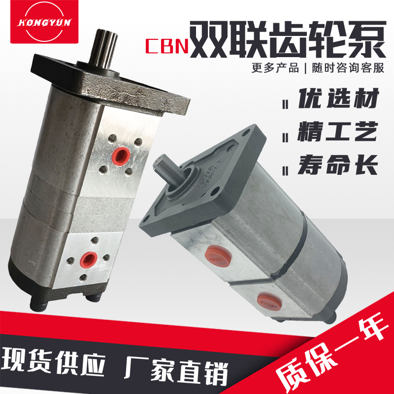 Cụm bơm dầu thủy lực đôi bơm CBN/T-F310/306 phụ kiện bơm dầu cao áp nhỏ hoàn chỉnh đầu bơm bơm piston thủy lực bơm thủy lực áp suất cao