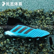 Zaji Sports Adidas Predator 19+ FG Falcon Long Nail Cỏ tự nhiên Giày bóng đá nam F35613 - Giày bóng đá