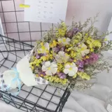Net Red Flower Beam Ins, забудьте меня