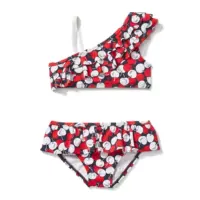 Вишневый раскол