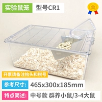 [CR1] Полная прозрачная клетка крысы ПК