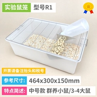 [R1] средняя мышь