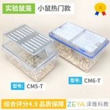 Лабораторная лабораторная лабораторная лабораторная лабораторная лабораторная лаборатория крыс