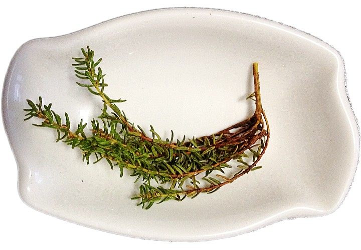 肝复灵(岩高兰)