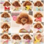 Bánh gạo nhỏ trang phục thú cưng nguyên bản Yorkshire Teddy cat dog handmade giả lông cổ áo mặt trời hoa nhỏ khăn choàng - Quần áo & phụ kiện thú cưng quần áo cho chó lớn