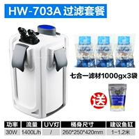 HW-703A+Filter 3KG (отправить соль)