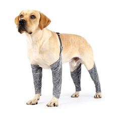 Носки для животных 宠物防弄湿腿套护膝狗狗户外四脚裤犬用吊带防水防脏防尿腿通用