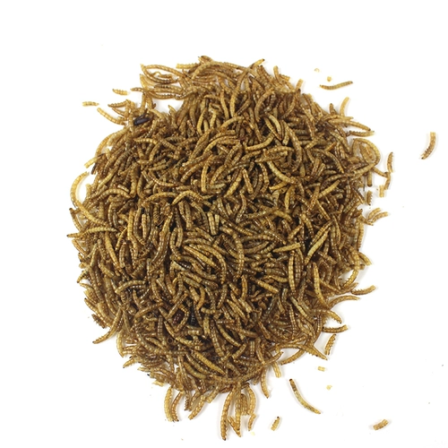 Лапша хомяка, сушеный золотой шелковый медведь Трехноколонный желтый порошок червя сухой закуски, маленькая домашняя ежа