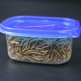 Лапша хомяка, сушеный золотой шелковый медведь Трехноколонный желтый порошок червя сухой закуски, маленькая домашняя ежа