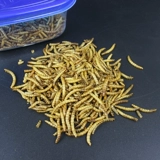 Лапша хомяка, сушеный золотой шелковый медведь Трехноколонный желтый порошок червя сухой закуски, маленькая домашняя ежа