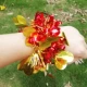 Сердечный драконский мяч красный