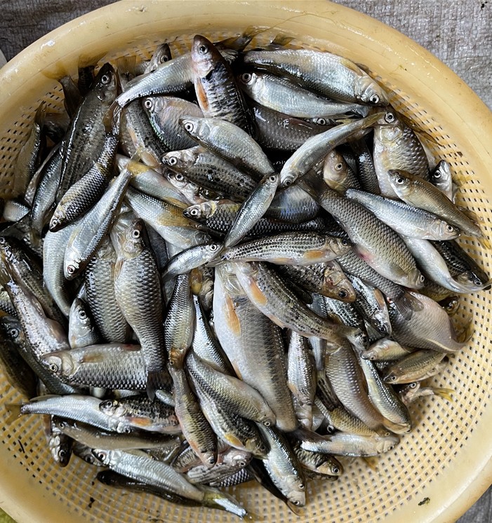 小龙虾配送行业现状与未来探索