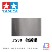 TS30 Металлическое серебро
