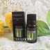 Dầu thơm tinh dầu nhập khẩu Đèn hương liệu lò sưởi ẩm Máy tinh dầu thơm AROMAX - Sản phẩm hương liệu giá trầm hương kỳ nam Sản phẩm hương liệu