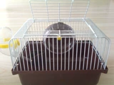 Бесплатная доставка Odaya Hamster Cage Cage Listed Cage Простая портативная внутренняя хомяка поставляет фундамент клетки золотой шелковый медведь клетки