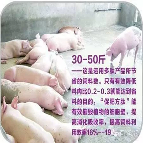 Свинья, крупный рогатый скот и овец используют кормовые добавки для способности стимулировать вес роста, длину свинины, быстрое перемешивающие материалы для содействия пептиду удобрения