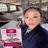 Свиньи, способствующие росту кормовые добавки, быстрой, ингредиенты, для удаления здорового аммиака, здоровый