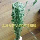23 года новых травяных фиолетовых цветов, 蓿 蓿 2 2 2 2 2 2 2 2 2 龙 龙 2 2 2 1 кг