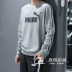 PUMA 彪马 秋 Áo len thể thao có dây bằng vải cotton dệt kim giản dị 855458-01-03-06 mẫu áo thu đông năm 2020 Thể thao lông cừu / jumper