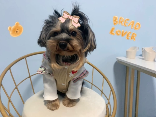 Оригинальные уши медведей ручной работы, супер густые ягнят, горячий баратор