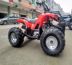 Xe mô tô bốn bánh ATV xuyên quốc gia mới Xe mô tô địa hình cỡ nhỏ ATV 125cc cào cào mini 50cc Xe đạp quad