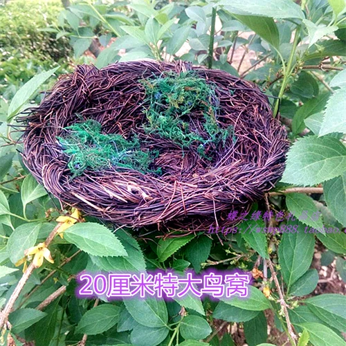 熷 湡楦 熷 骞 骞 崏楦 熷 熷 眿 愭 愭 娌  笩铔 灏 忛笩 瀹 眳 缁 缁   鏅  楗 楗 Вентилятор вентилятора