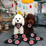 Шарф, кролик, слюнявчик, домашний питомец, кот, подходит для подростков