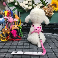 [Модель] kt cat