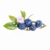 Cục Lâm nghiệp Mori Thiết kế thủ công ban đầu Bông tuyết Blueberry Berry Kẹp tóc, Clip bên, Phụ kiện tóc Cá miệng Clip - Phụ kiện tóc