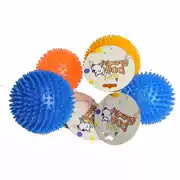 Pet puppy dog ​​toy ball vocal mol cắn đào tạo Teddy gấu con chó con mèo đồ chơi vật nuôi chó cung cấp - Mèo / Chó Đồ chơi